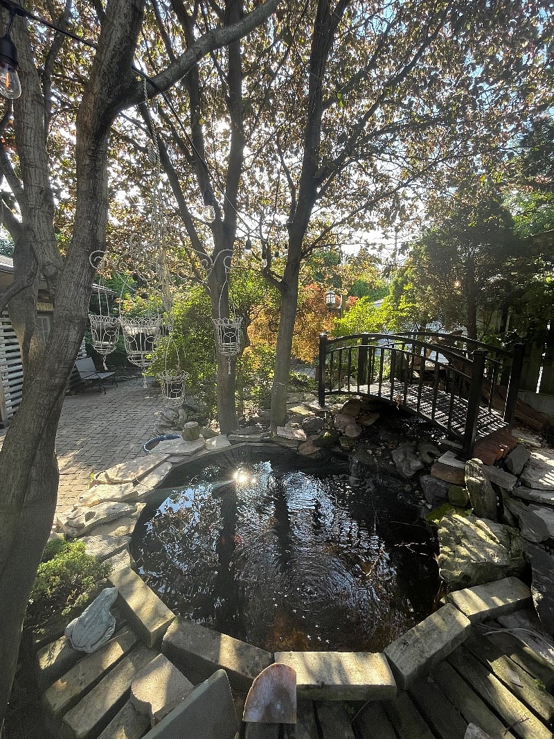 Furnished Finder property 562460_1 photo 27