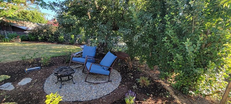 apple trees / fire pit