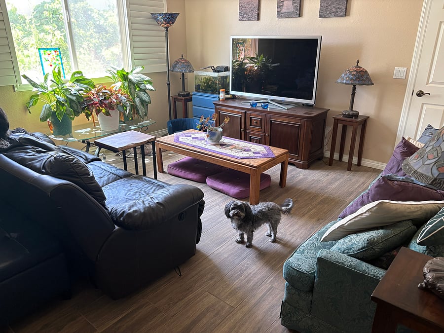 Furnished Finder property 562863_1 photo 12