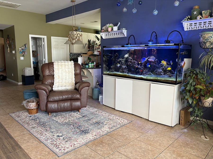 Furnished Finder property 562863_1 photo 7
