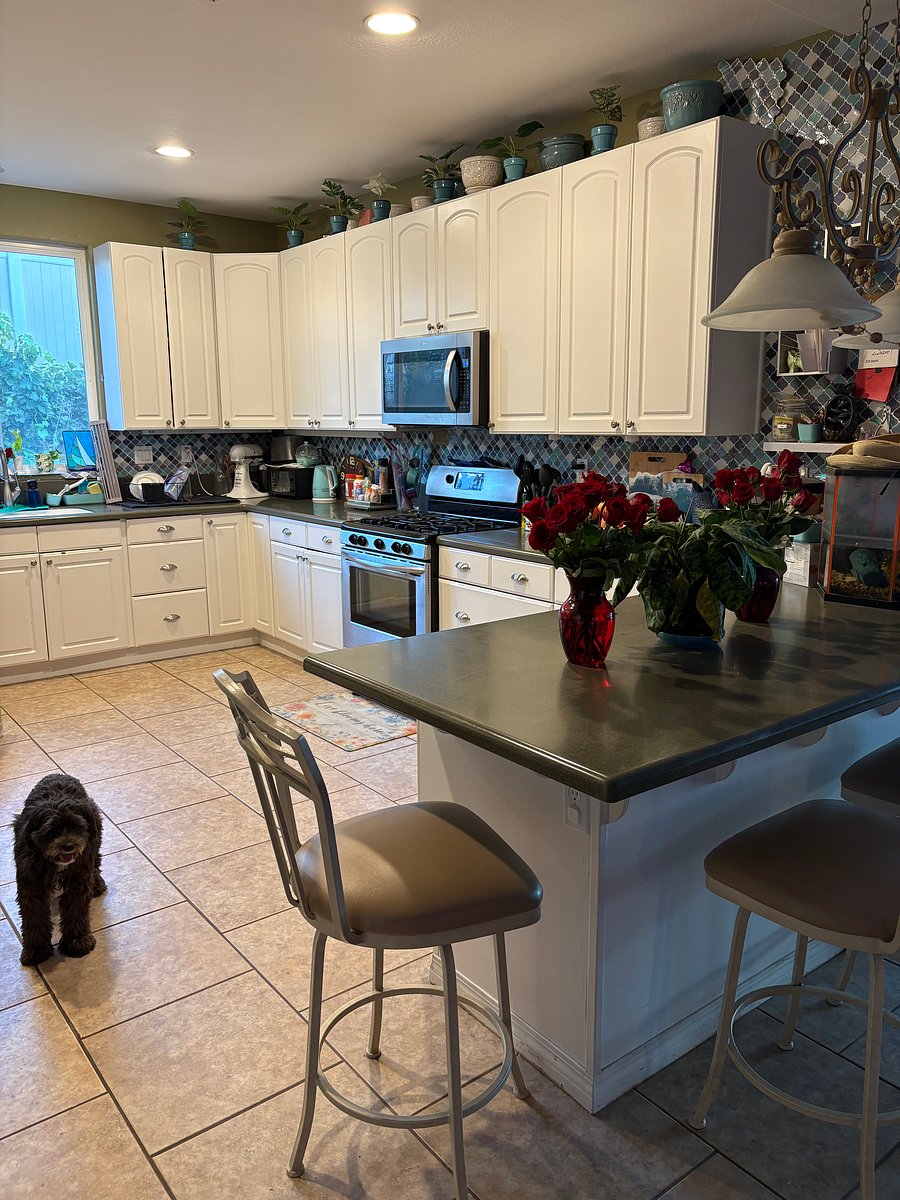 Furnished Finder property 562863_1 photo 20