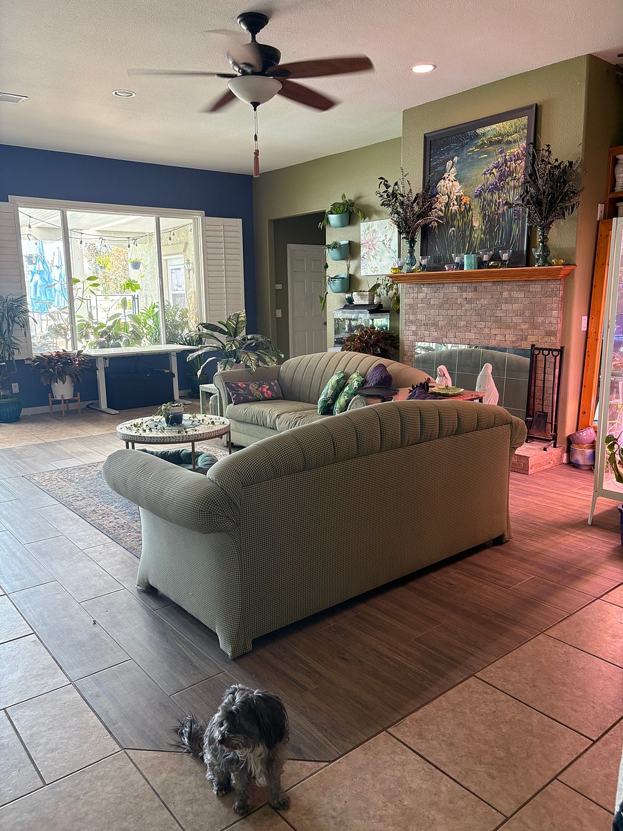 Furnished Finder property 562863_1 photo 9