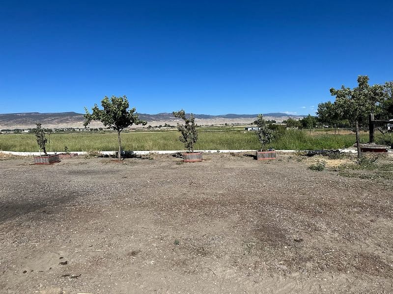 View from the Back Yard