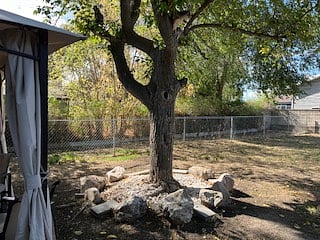 Fully fenced in large back yard