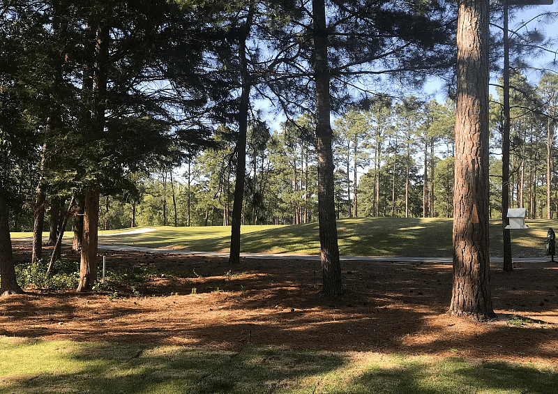 You get the full view of a peaceful Golf Course.