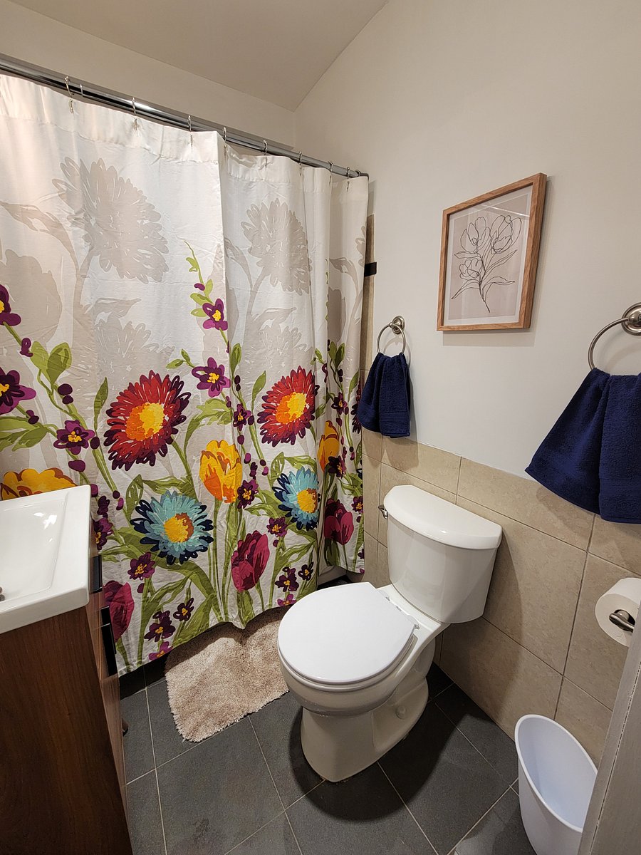 Furnished Finder property 563206_2 photo 19