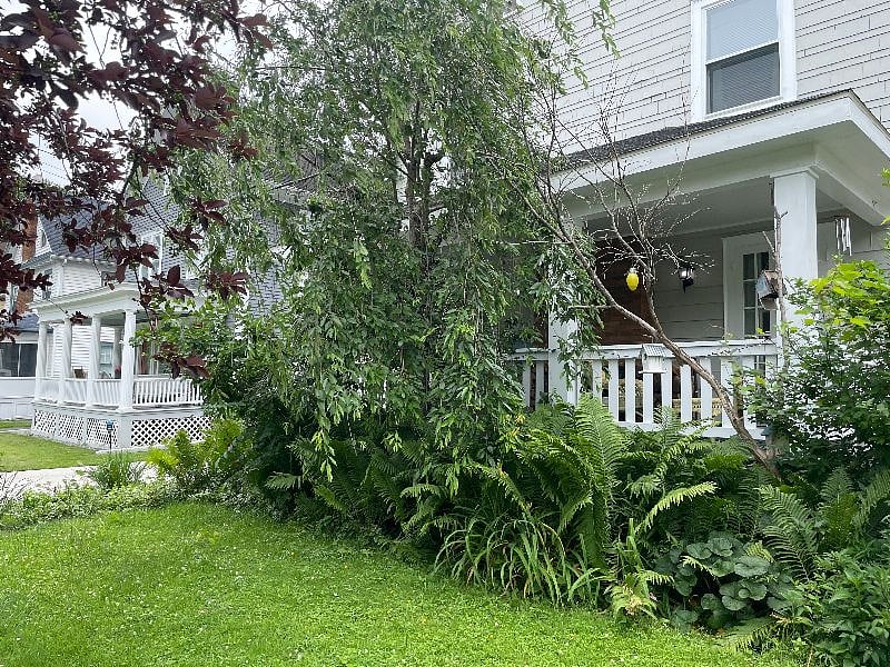 Furnished Finder property 563336_1 photo 13