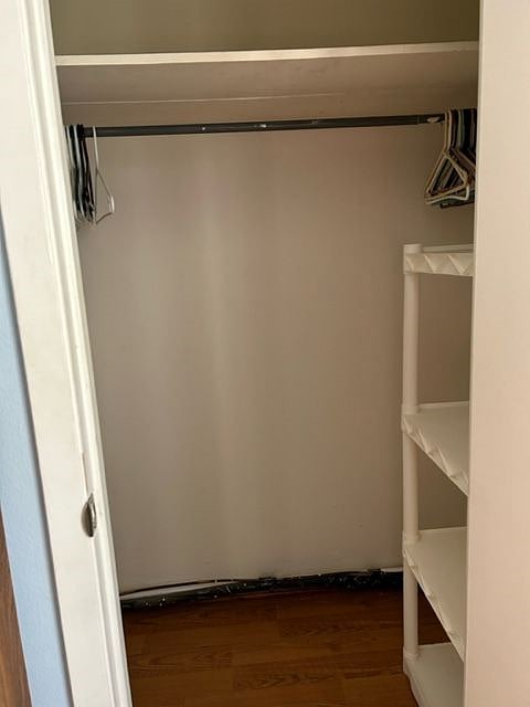 Closet with hangers and shelves for storage