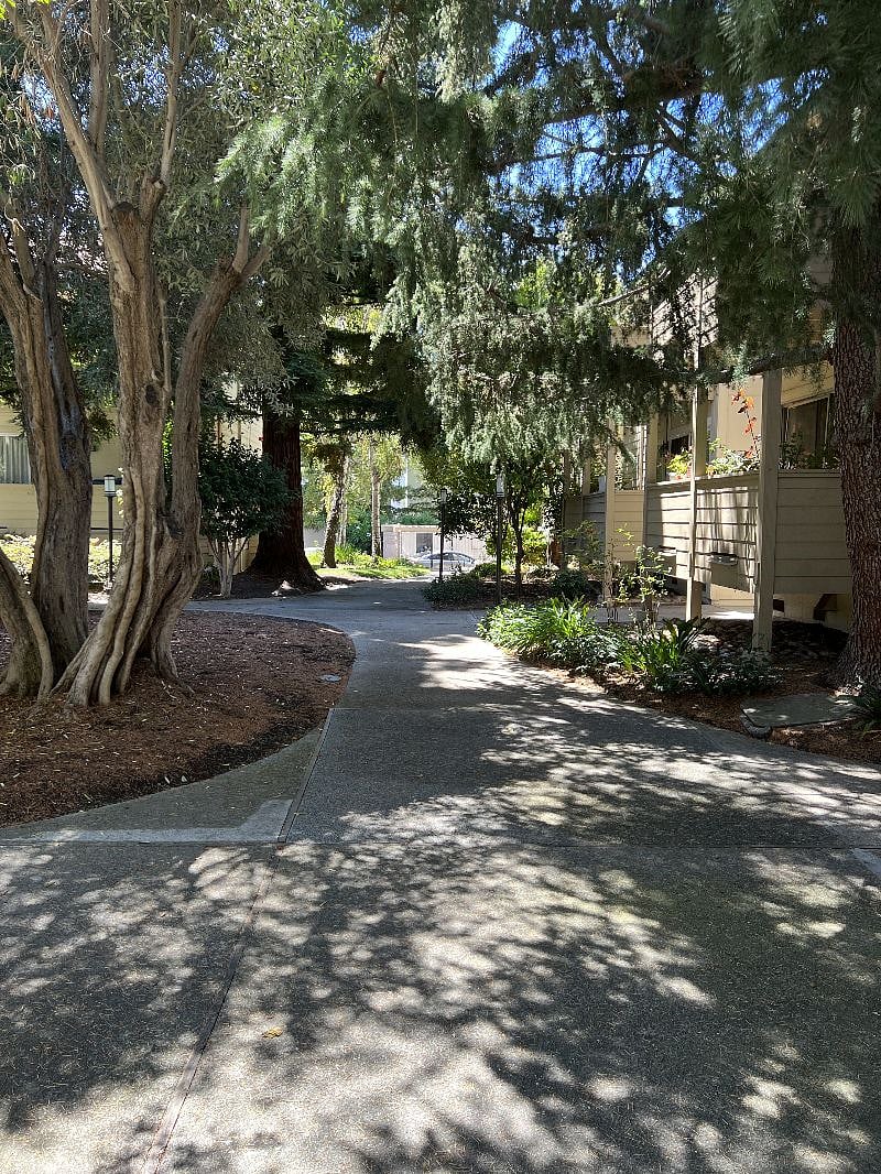 Furnished Finder property 563413_1 photo 33