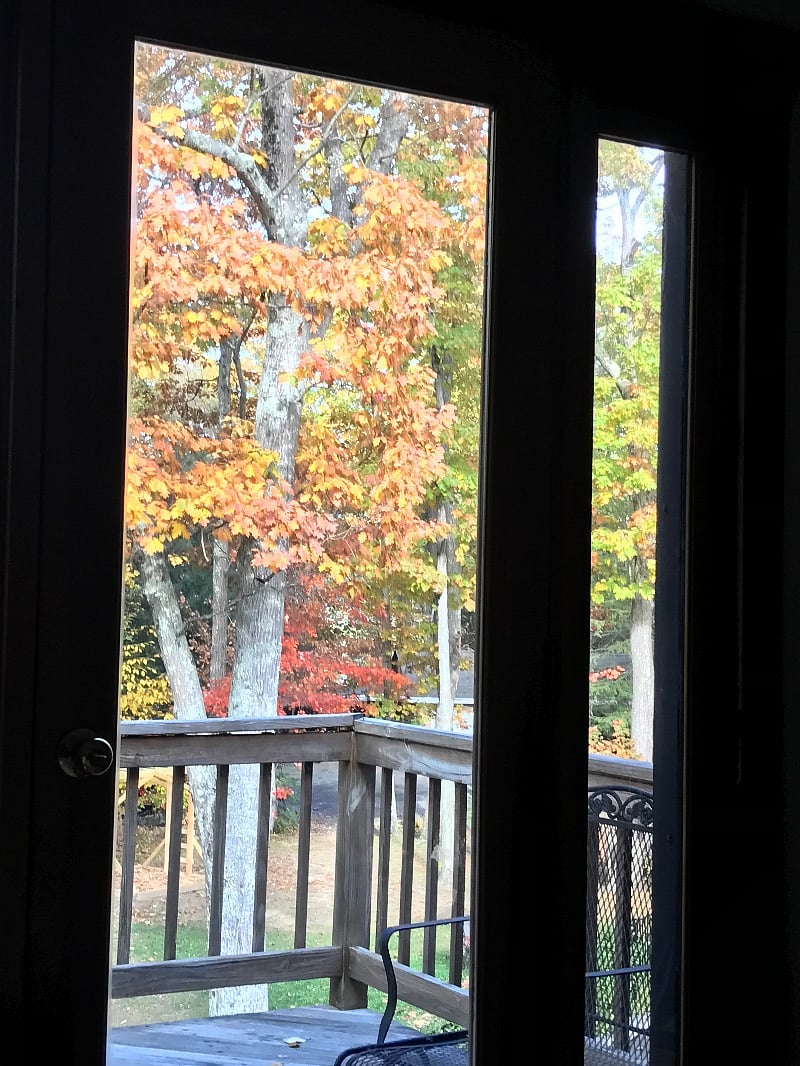 View from deck in the fall