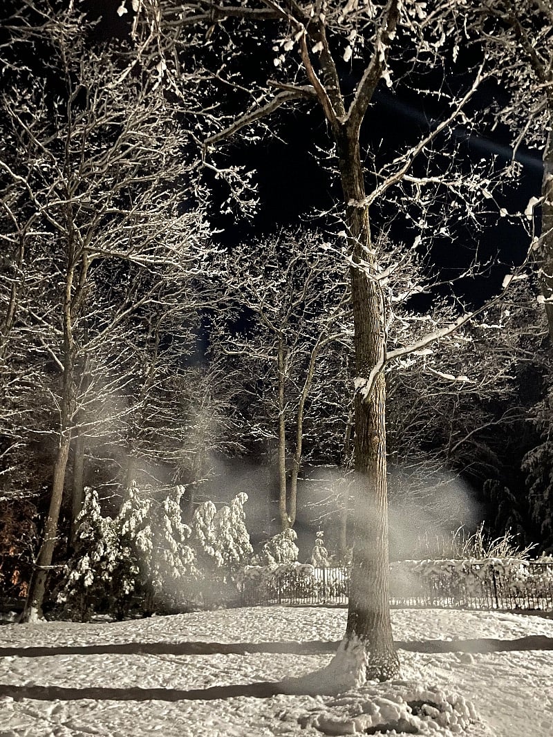 View of house one snowy winter. Don't worry, plowing is included ';-)
