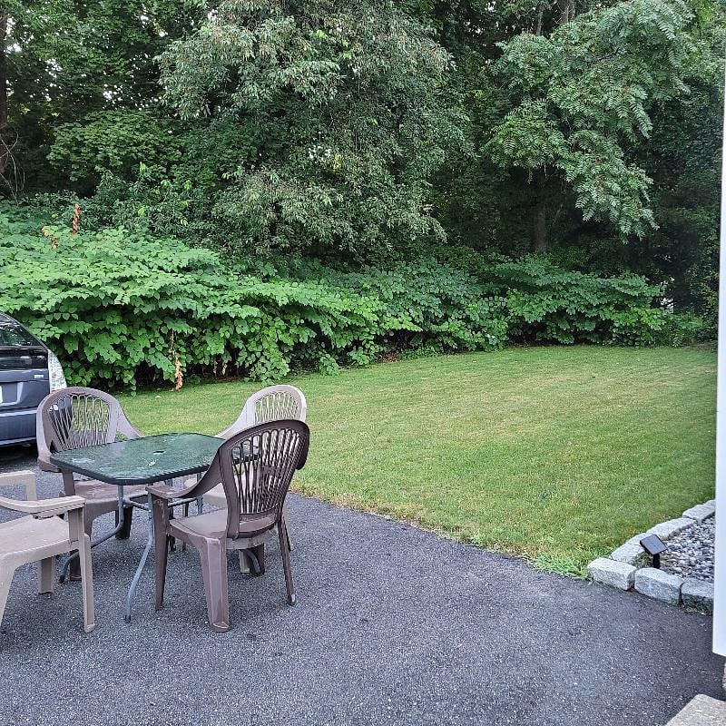 Furnished Finder property 563428_1 photo 23