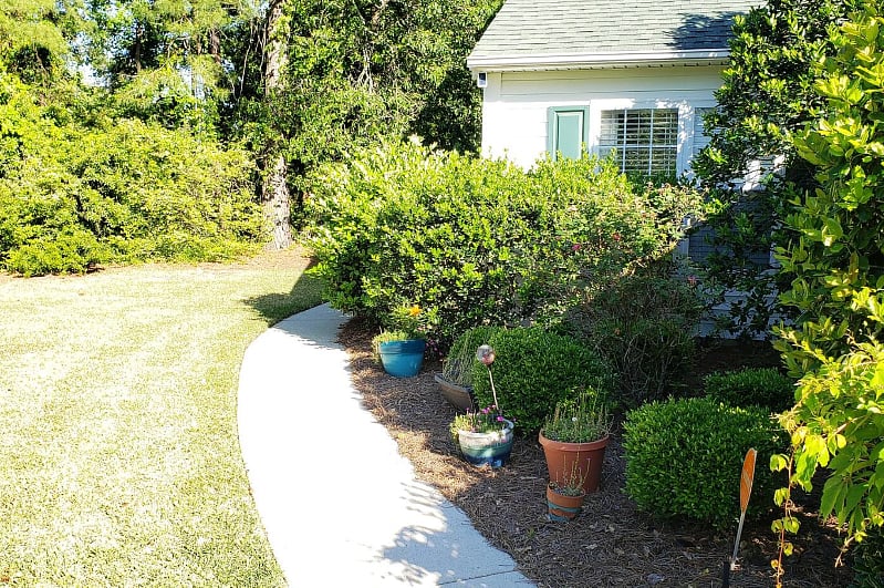 Walkway that leads the entrance