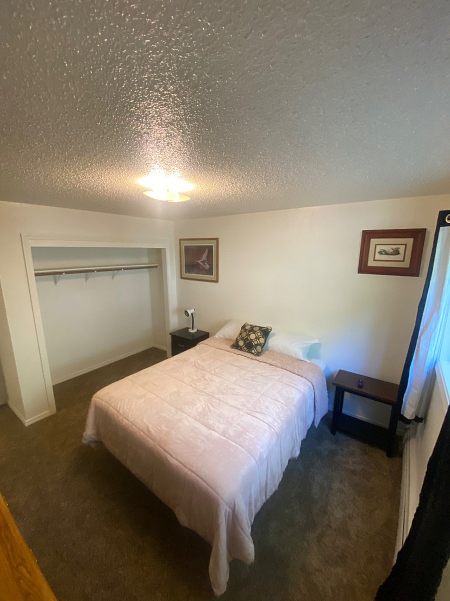 Furnished Finder property 563659_2 photo 16