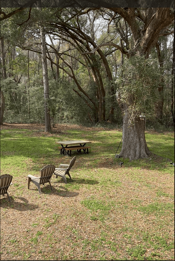 Furnished Finder property 563752_1 photo 15