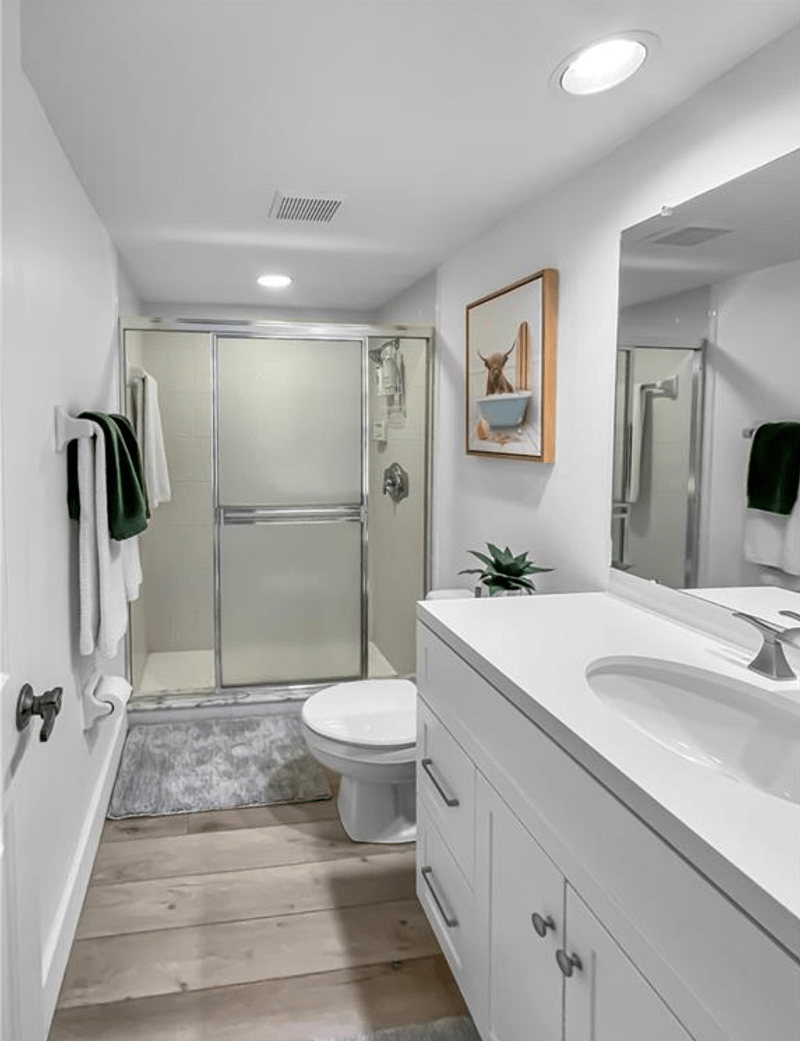 Guest bathroom