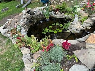 Relaxing pond with 2 waterfalls, Lillie pads, and beautiful surrounding landscaping 