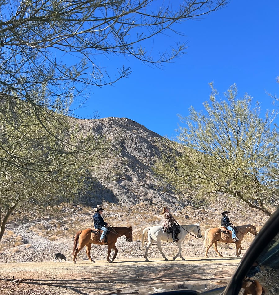Near Lone Mountain Park features scenic hiking trails, breathtaking Vegas views, and open spaces for outdoor fun. Enjoy a peaceful escape with walking paths, picnic areas, and a challenging climb up Lone Mountain!
