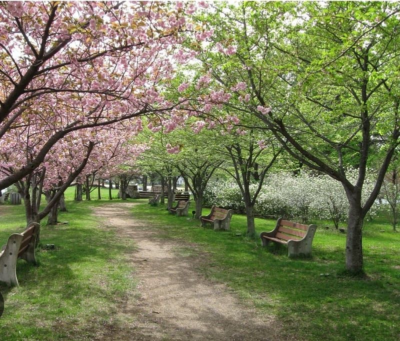 One of the many paths at Horseshoe Lake