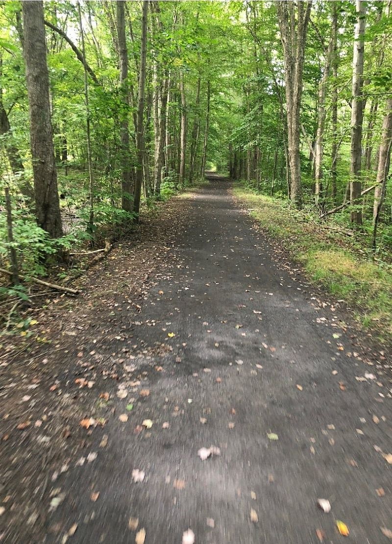 Trail behind Horseshoe Lake