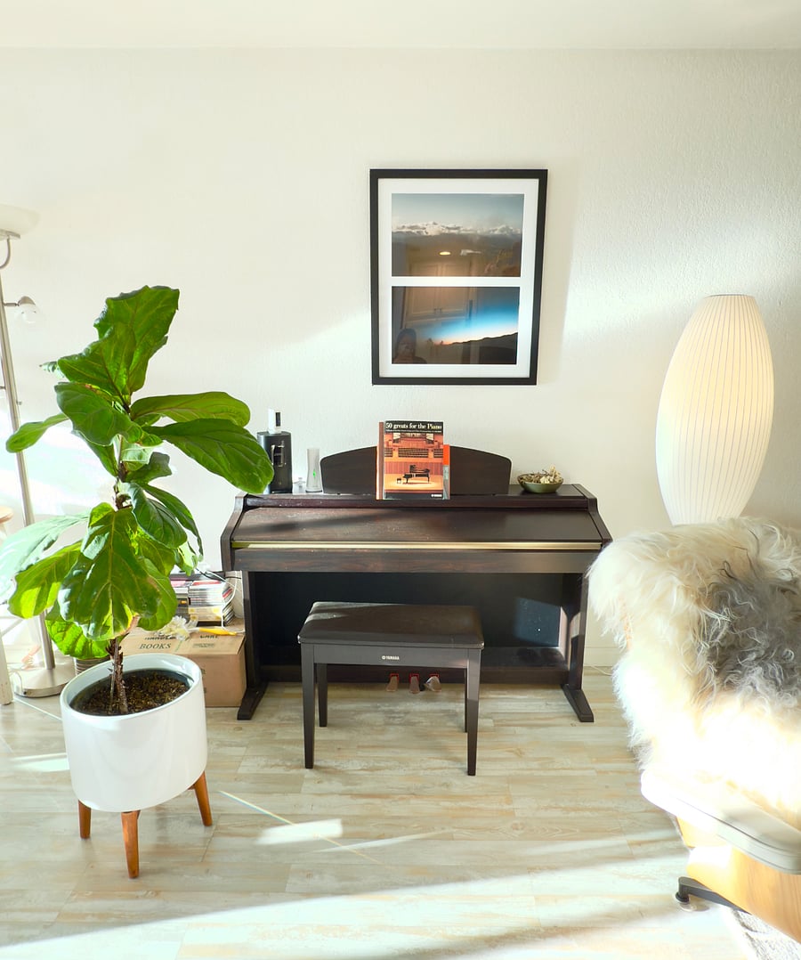 Furnished Finder property 564711_1 photo 10