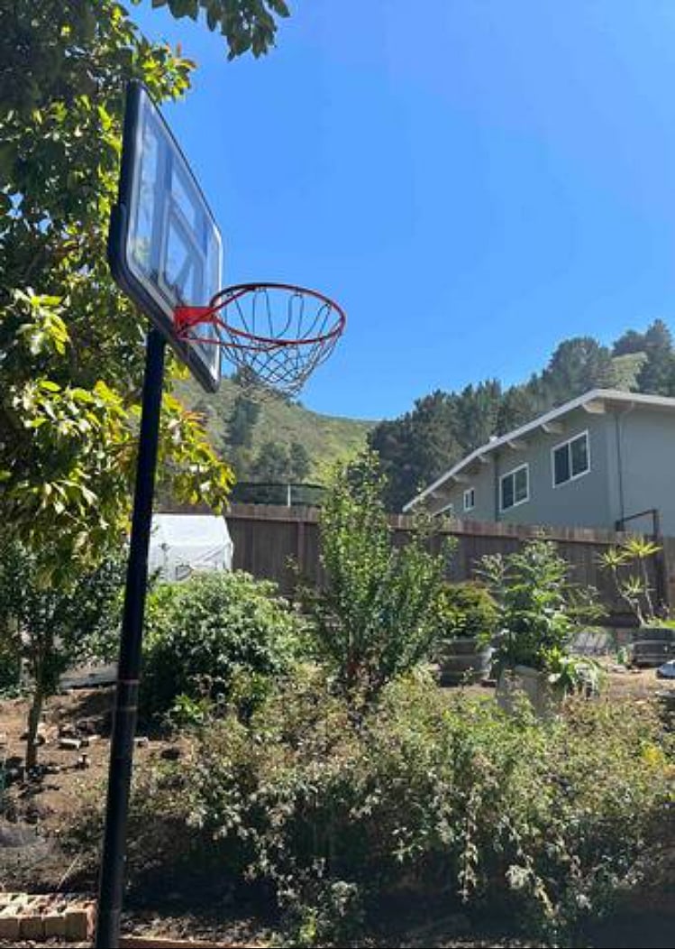 Backyard garden with view.
