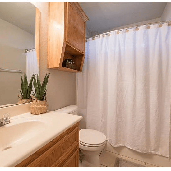 Furnished Finder property 564754_1 photo 14