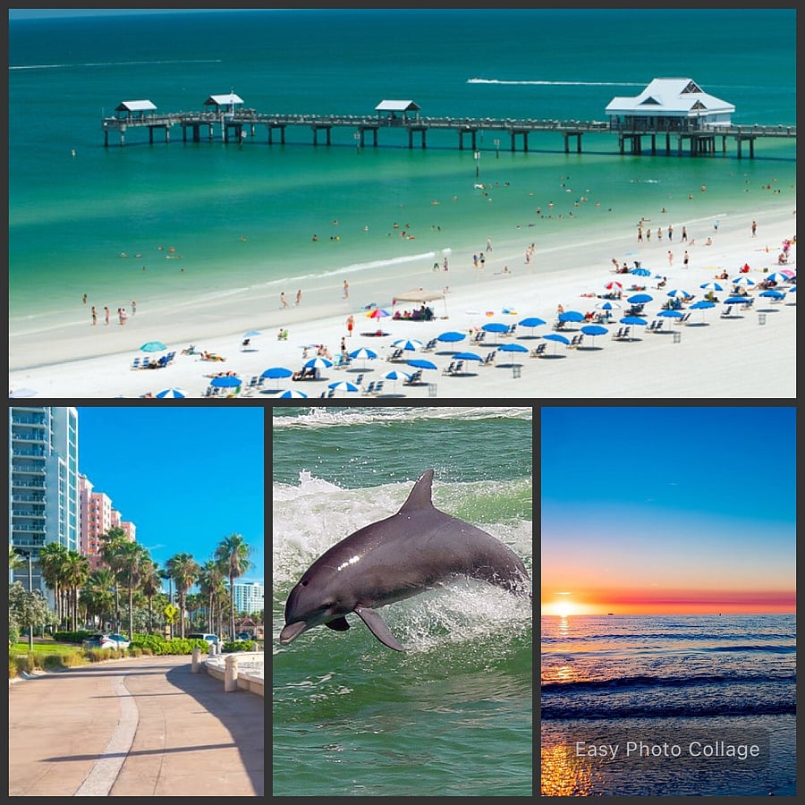 Clearwater has so much beauty! World famous beaches, Pier 60, dolphin tours, breathtaking sunsets, and more