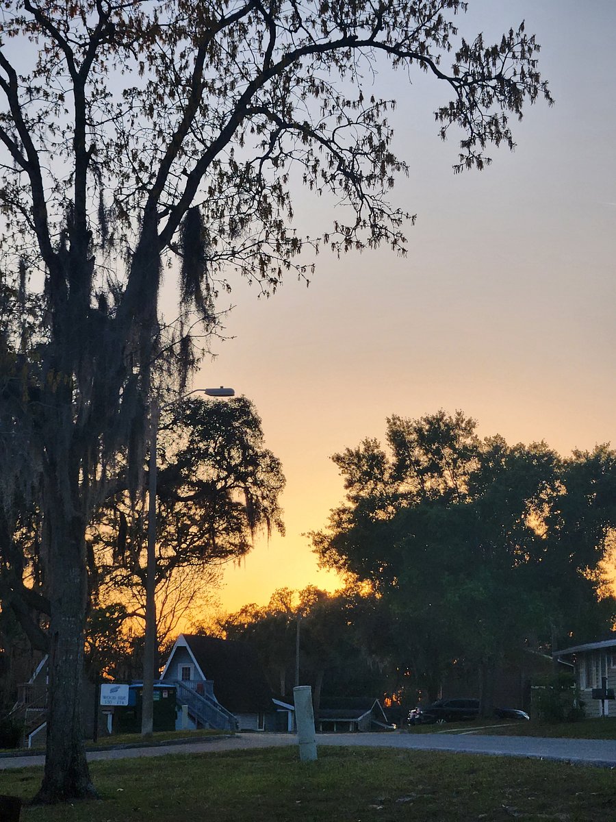 Golden hour