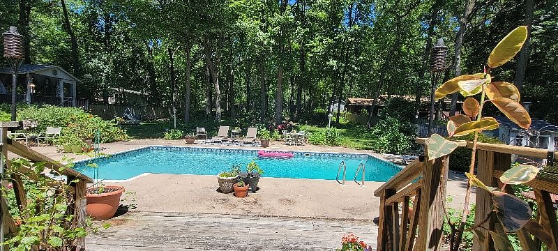 Pool and backyard