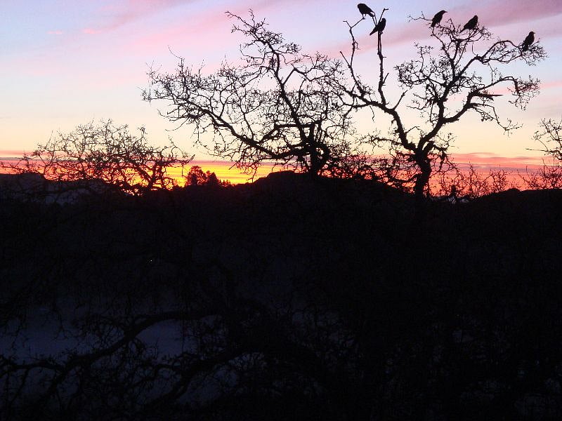 Beautiful sunrises