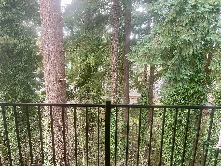 Balcony view