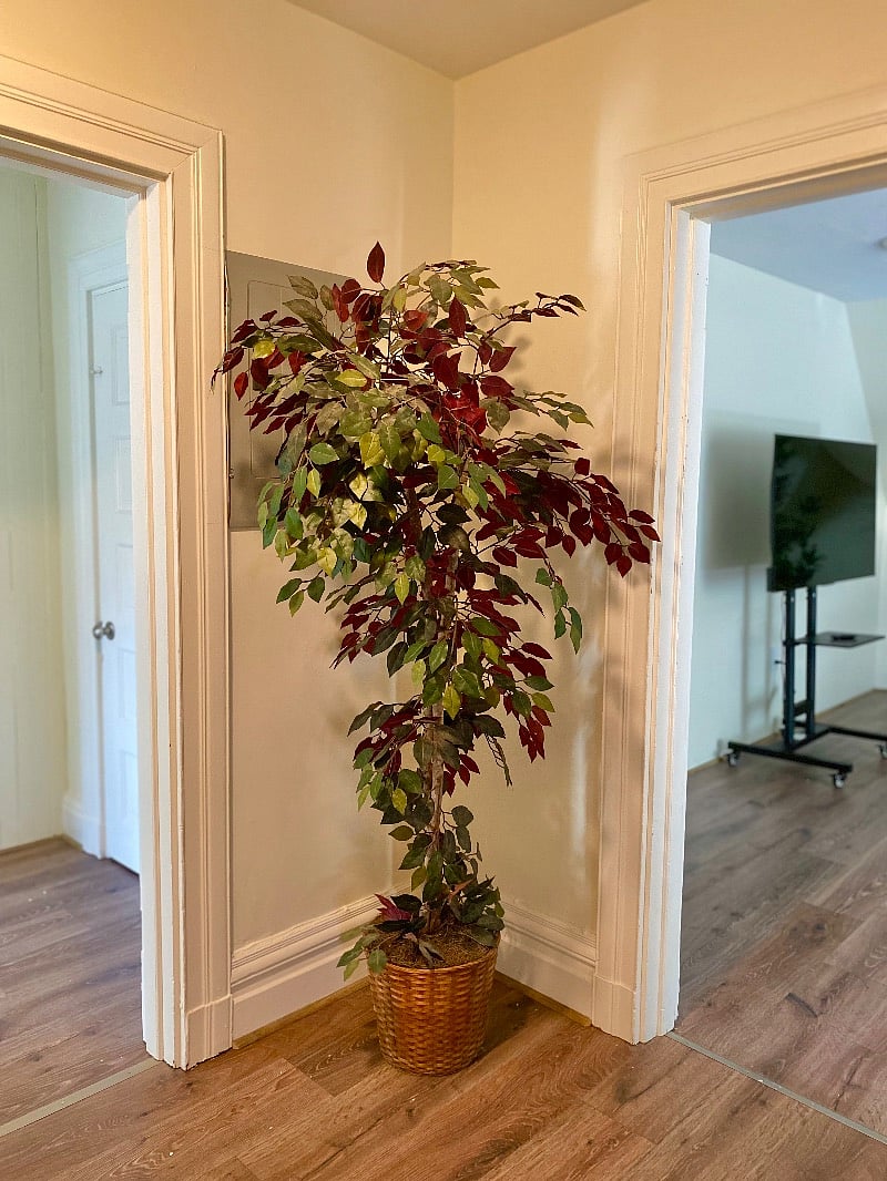Furnished Finder property 565177_1 photo 8