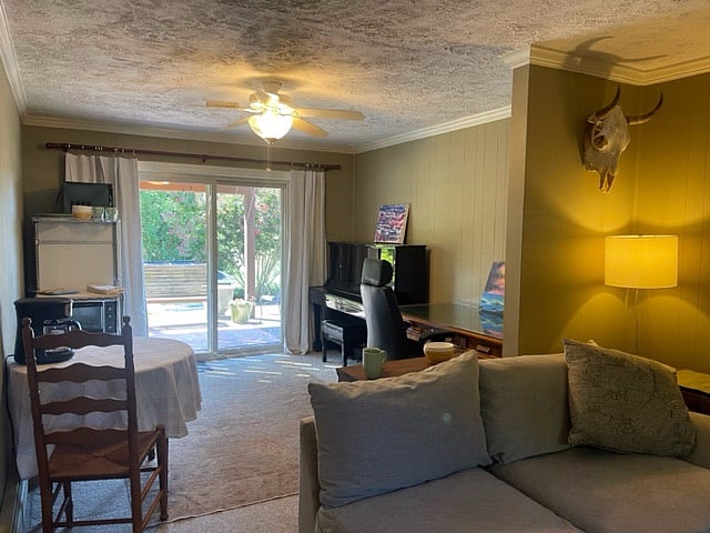 Furnished Finder property 565452_1 photo 16