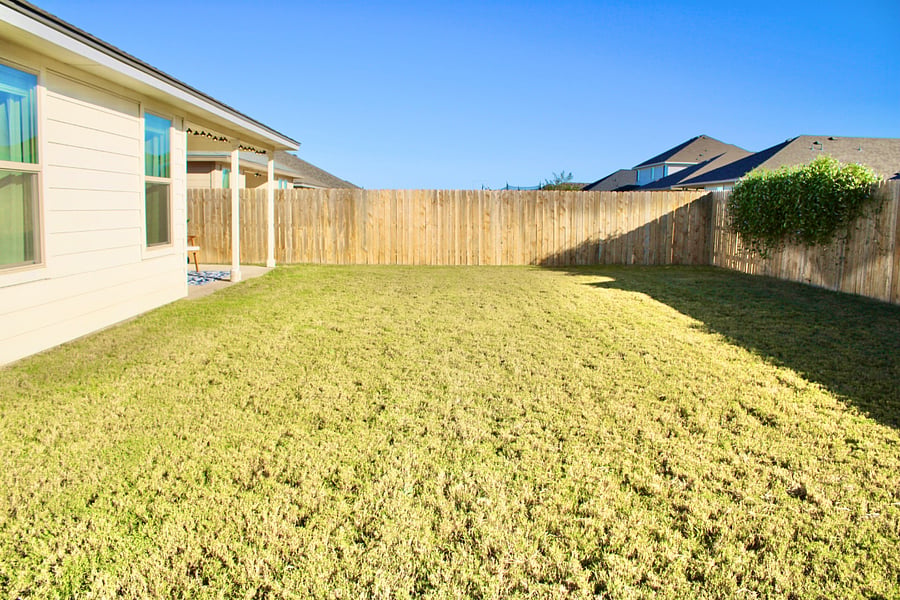 Shared backyard