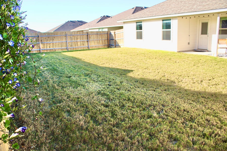 Shared patio