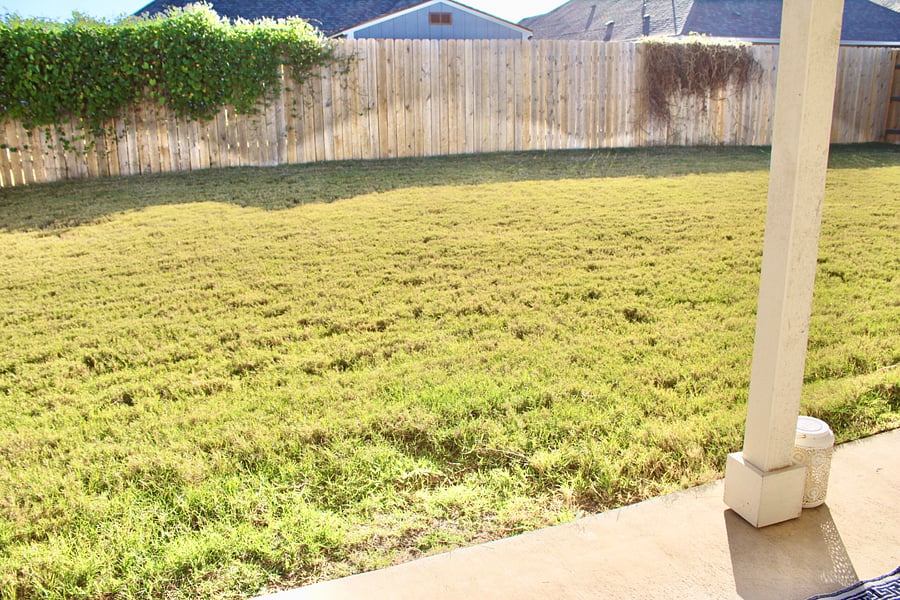 Shared backyard