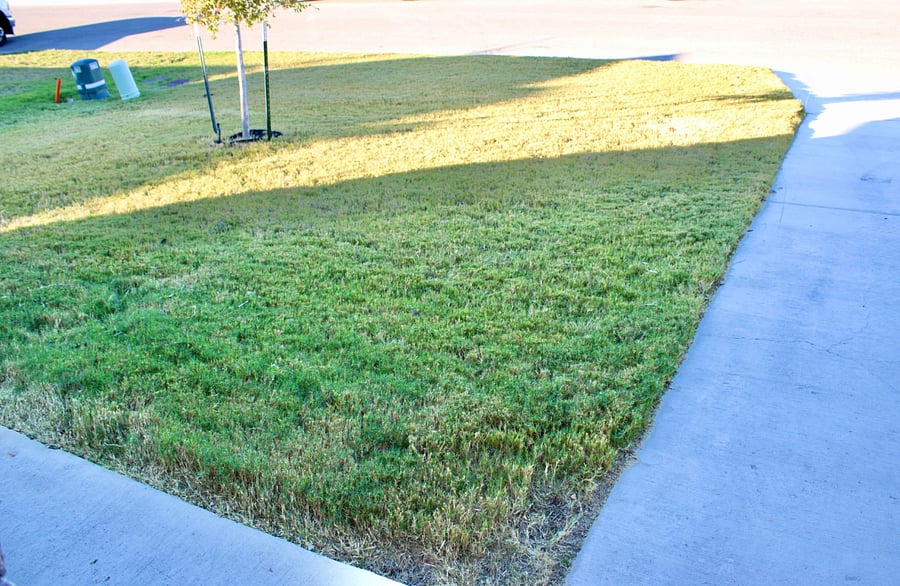 Front yard - sprinkler system
