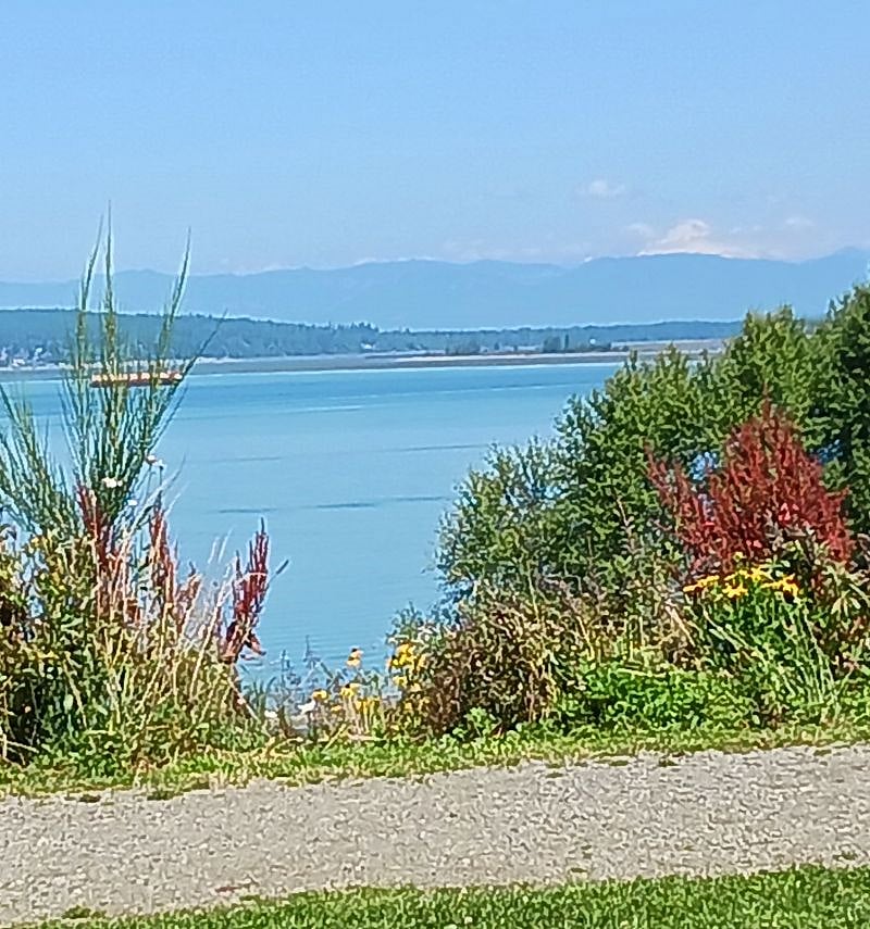 Lovely park on a high up Bluff which is 2 mi from my house.