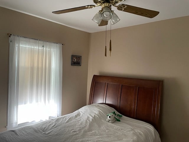 Furnished Finder property 565688_1 photo 7