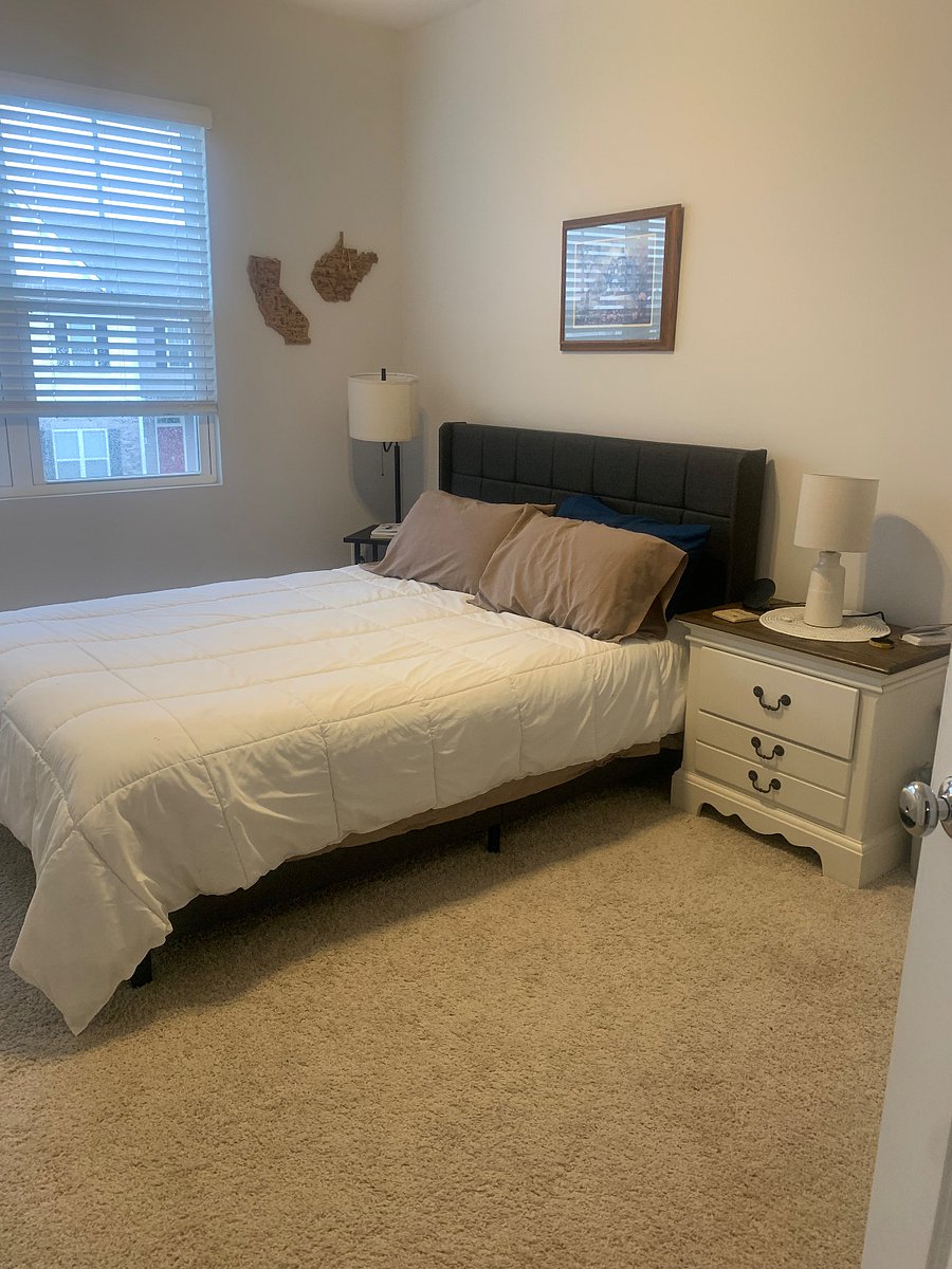 Furnished Finder property 565844_1 photo 9
