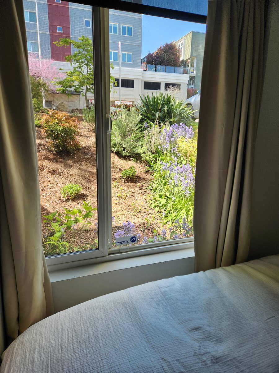 Furnished Finder property 565973_1 photo 9