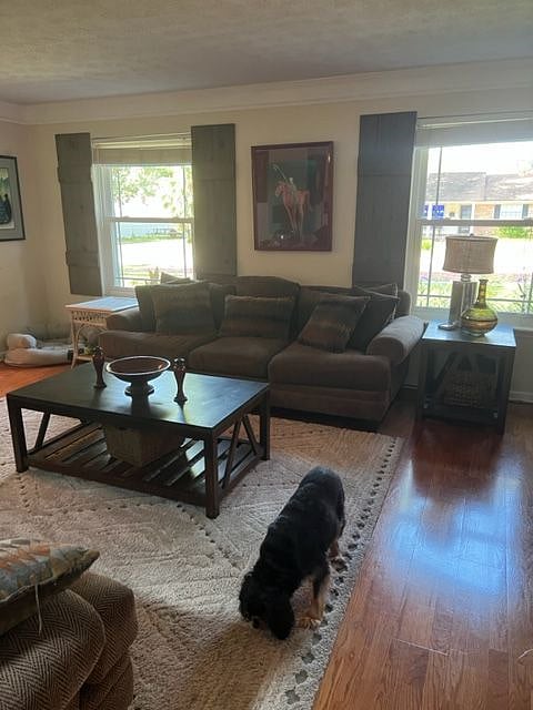 Furnished Finder property 566065_1 photo 8