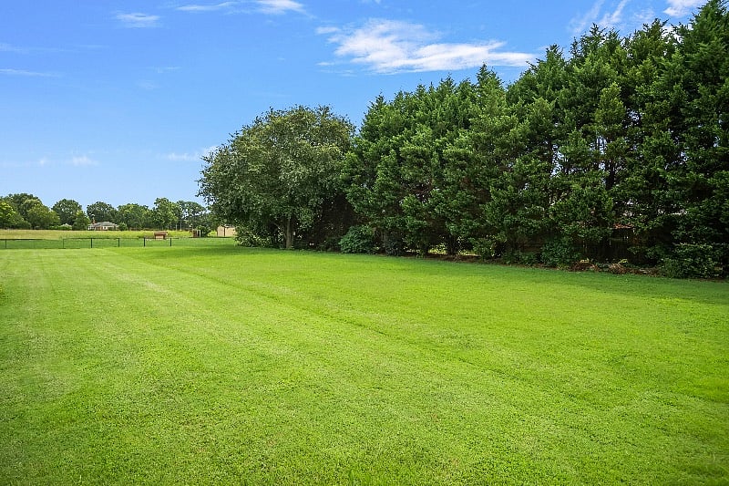 Showing a portion of the fenced in backyard