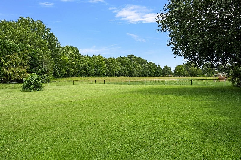 Showing other side of fenced backyard