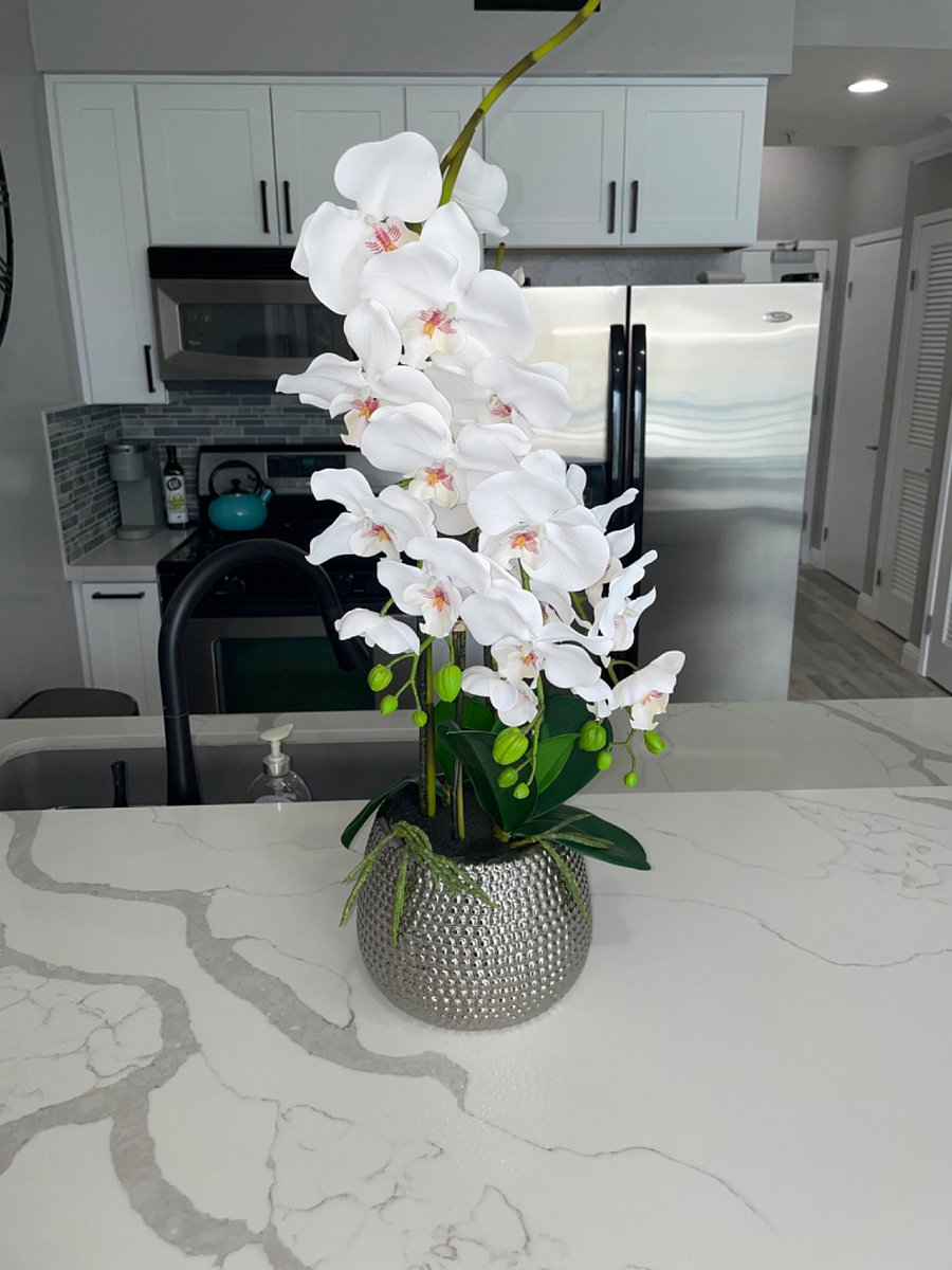 Furnished Finder property 566641_1 photo 28