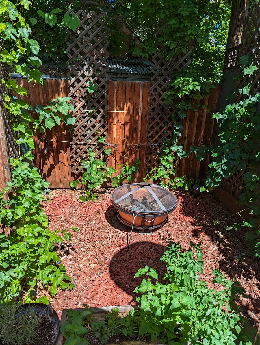 Fire Ring in east vineyard