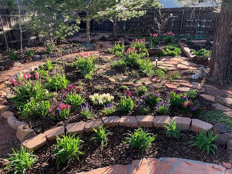 Backyard garden in springtime. 