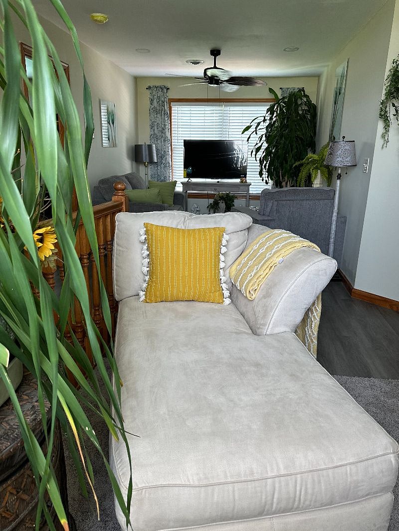 Furnished Finder property 566824_1 photo 1