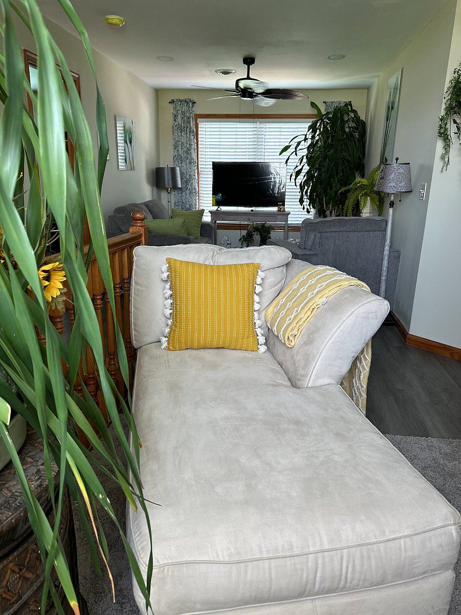Furnished Finder property 566824_1 photo 37